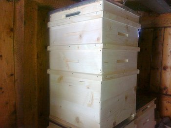 01032012208.jpg