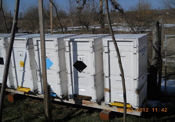rsz_2dscn2599.jpg