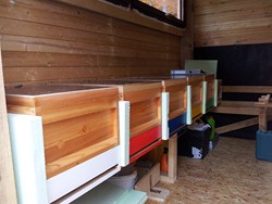 2011-10-29 14.18.53.jpg