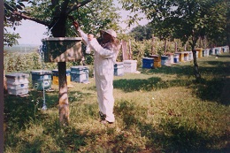 IMAG0219.jpg