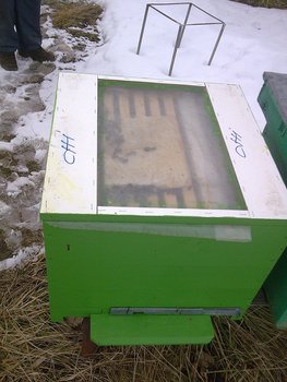 Tati042.jpg