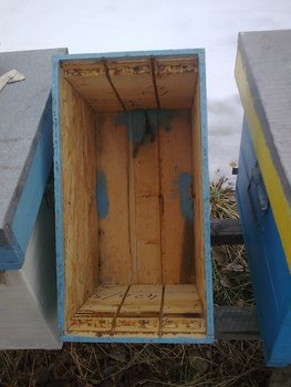 Tati044.jpg