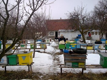 Tati039.jpg
