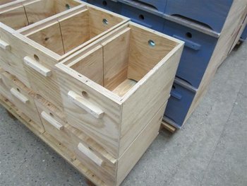 nuclei_fecundatie (Small).JPG