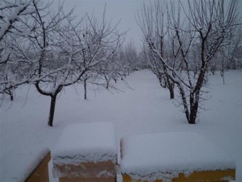 DSC00767 (Small).JPG