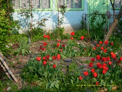DSCI0758.JPG