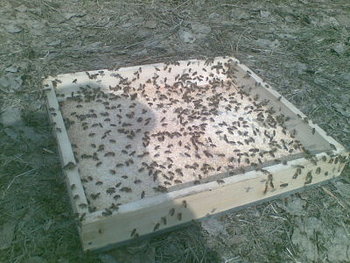 09032012_opt.jpg