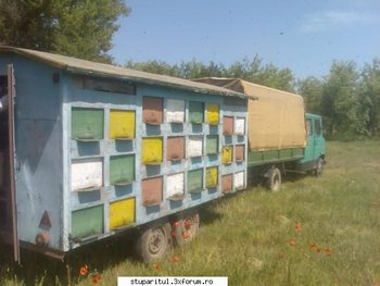 ok_94846.jpg