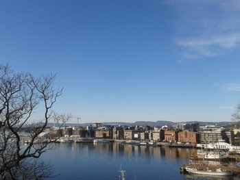 2012-03-11 11.35.52.jpg