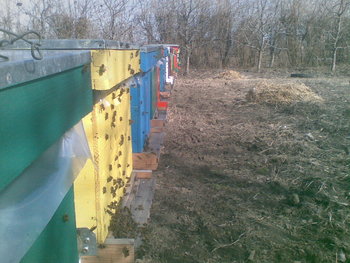 13032012(009)_opt.jpg