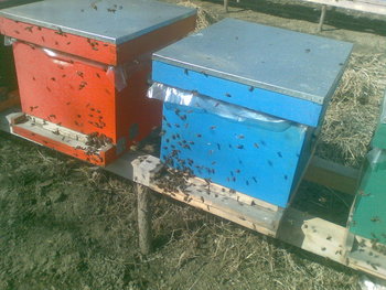 13032012(006)_opt.jpg