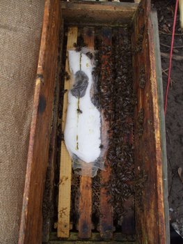 DSCF5876.JPG
