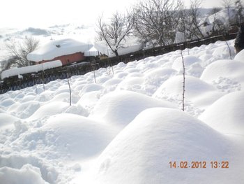 DSCN4786.jpg