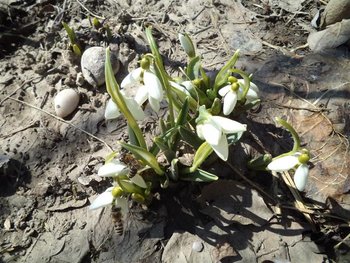 DSC00994 (Small).JPG