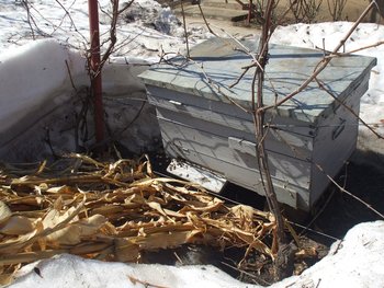 DSCF5879.JPG