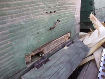DSCF5888.JPG
