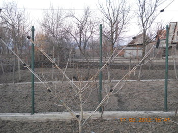 rsz_dscn2631.jpg