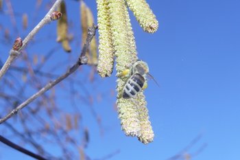 P1080009.JPG